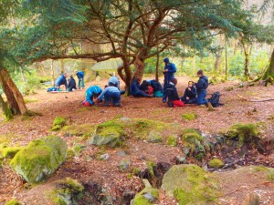 Field Work