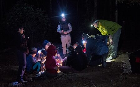 Dark Bushcraft Field Trip